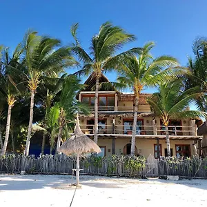 https://casa-cat-ba-isla-holbox.quintano-roohotels.com