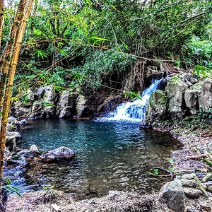 ** Gasthof Hamakua USA